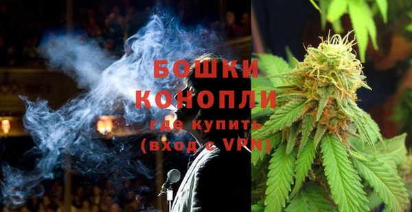 ECSTASY Богородицк