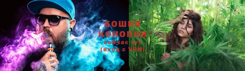 купить  сайты  Белая Калитва  Канабис OG Kush 